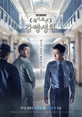雾港谜案 热播电视剧全集免费